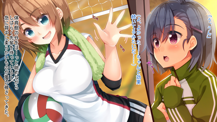 悪魔のメモ帳～チキンくん、排球少女と夢をみる～
