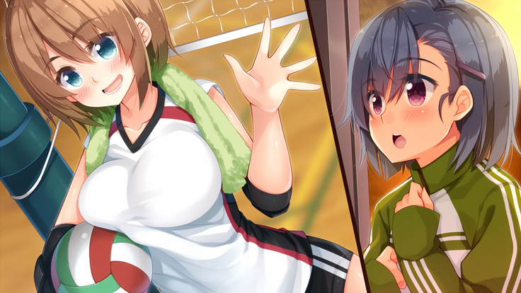 悪魔のメモ帳～チキンくん、排球少女と夢をみる～