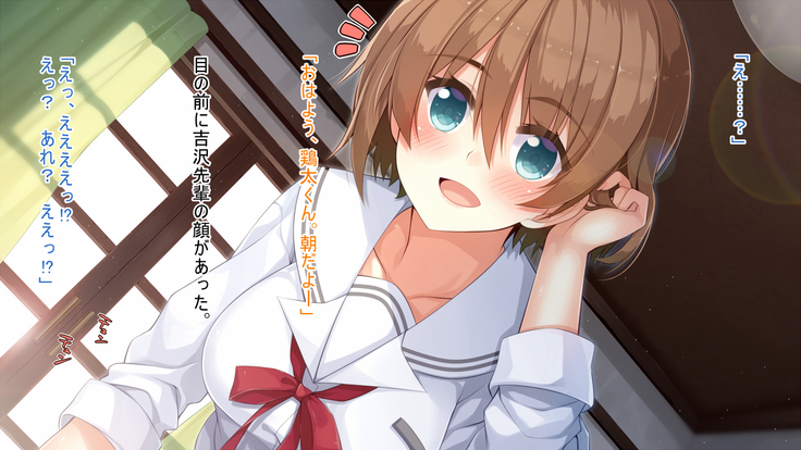 悪魔のメモ帳～チキンくん、排球少女と夢をみる～