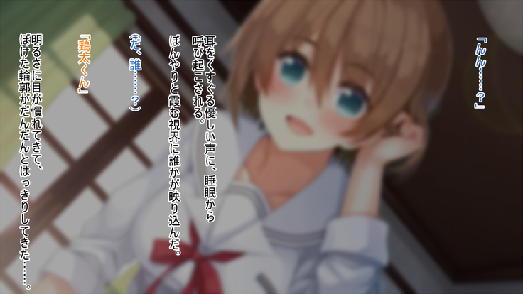 悪魔のメモ帳～チキンくん、排球少女と夢をみる～