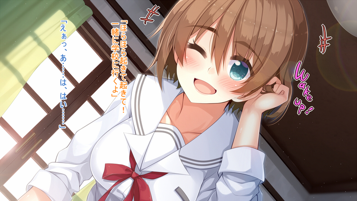 悪魔のメモ帳～チキンくん、排球少女と夢をみる～