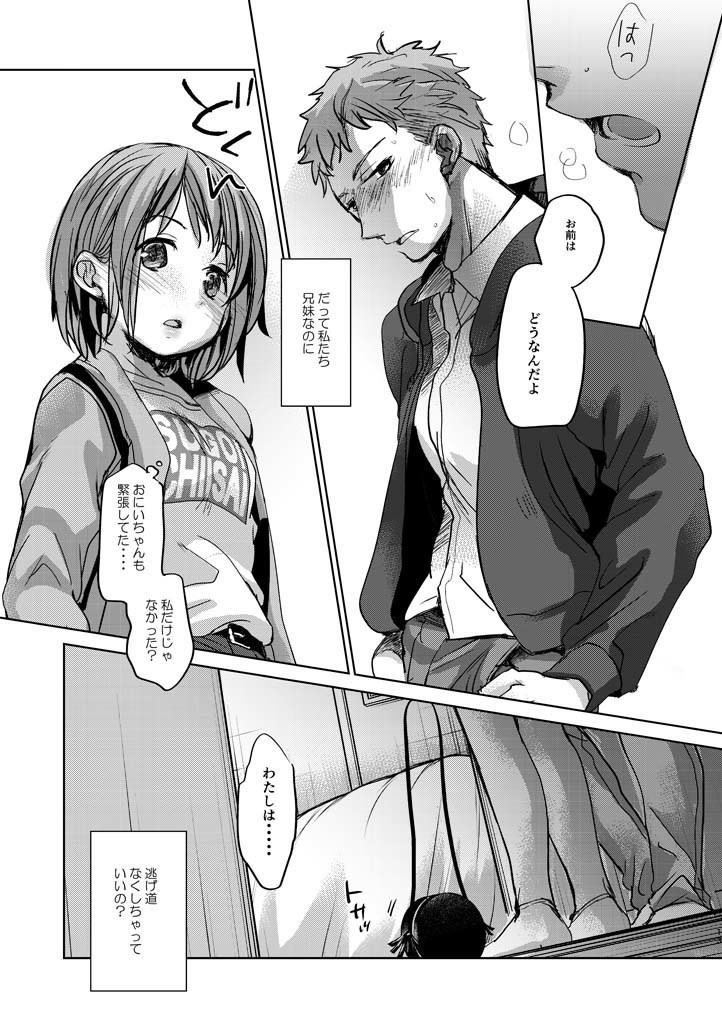 Watashi to Ani no Nichijou