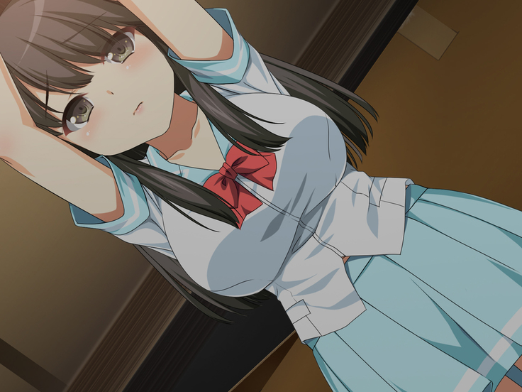 Flesh Holes That Can't Resist ~Schoolgirls Bound At Night~