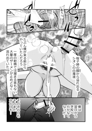 桜子姉 - Page 29