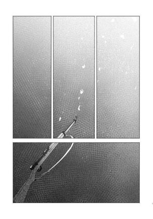 Image 13319412