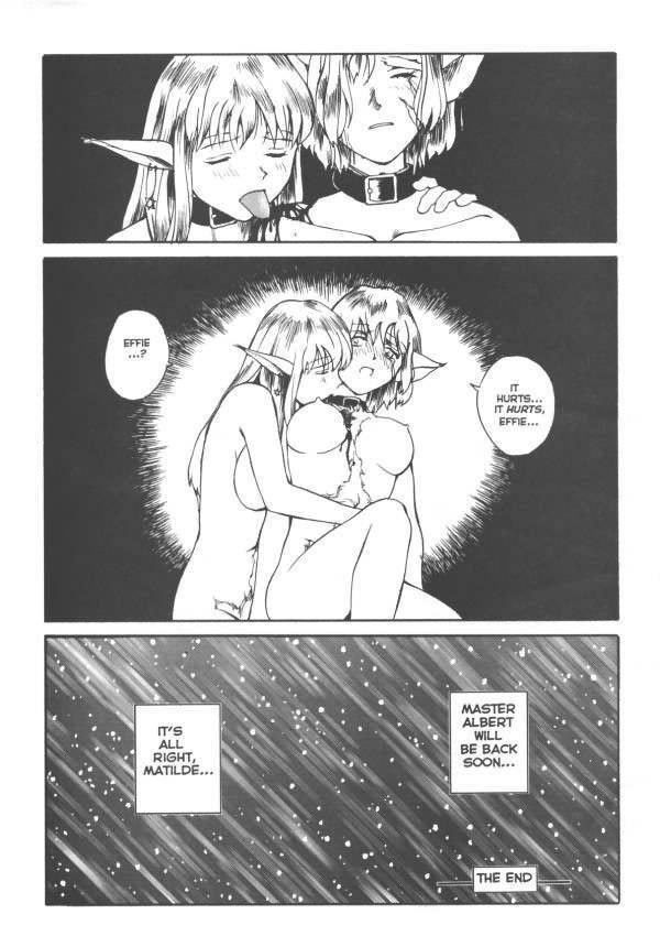 Sekkusufiresu 01