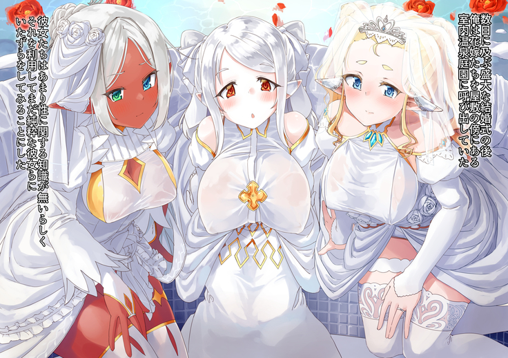 yokusei ni nureru elf no himegimi