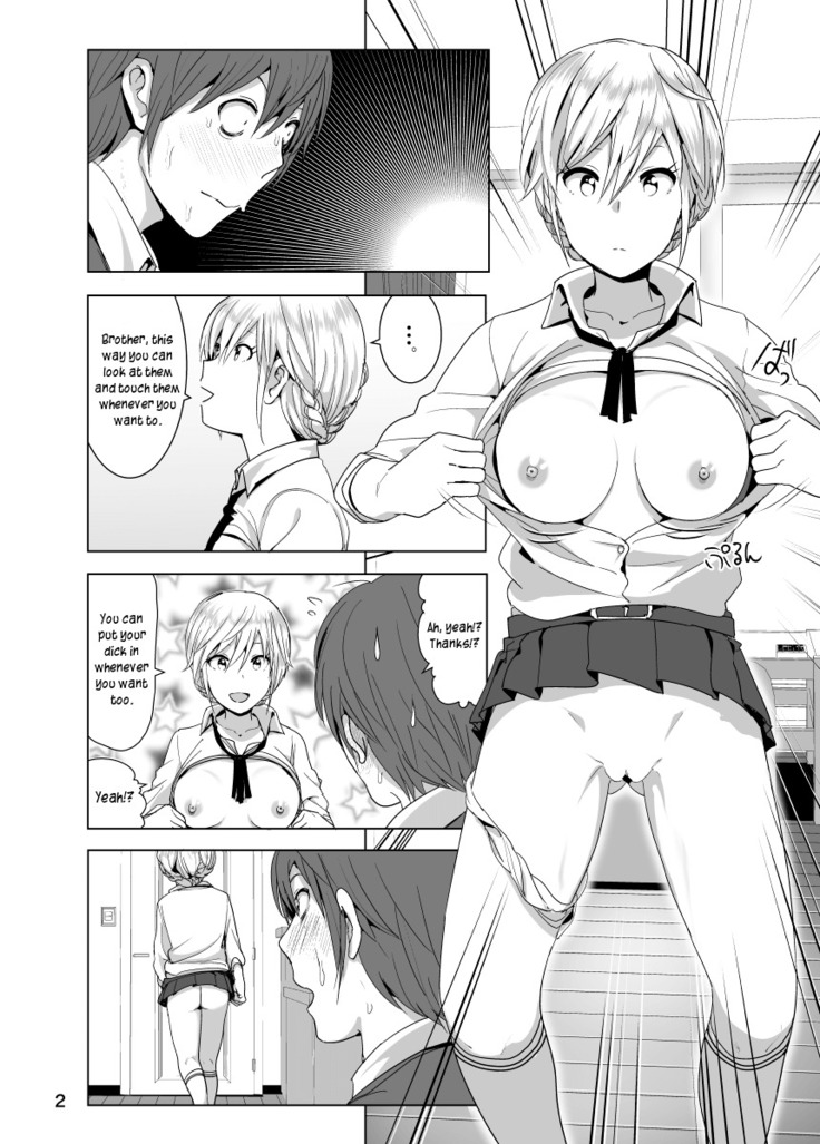 Imouto no Oppai ga Marudashi Datta Hanashi 2