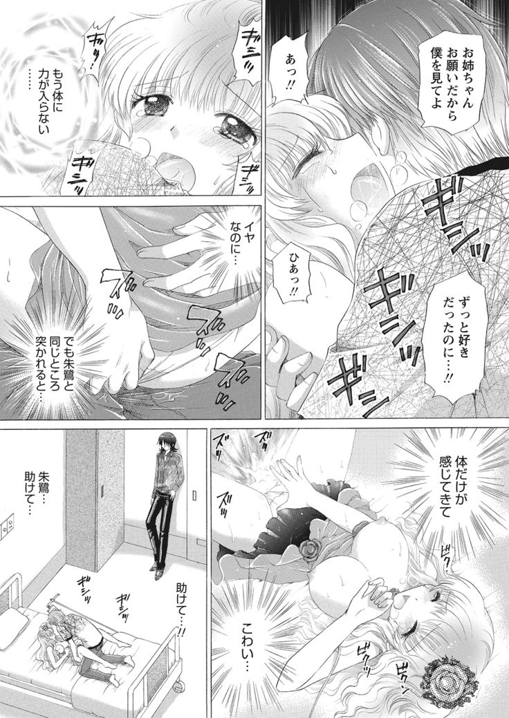 WEB Bazooka Vol.10