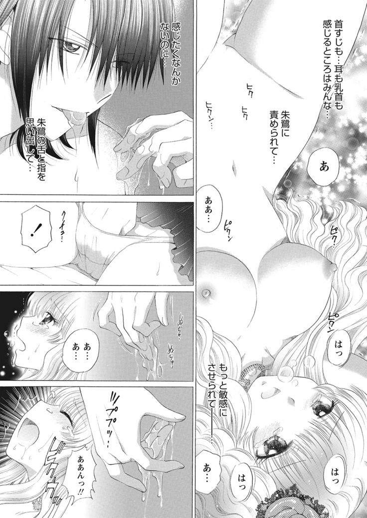 WEB Bazooka Vol.10