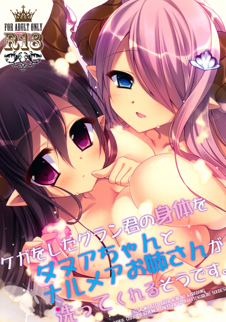Kega o Shita Gran-kun no Karada o Danua-chan to Narumea Onee-san ga Aratte Kureru Sou desu.