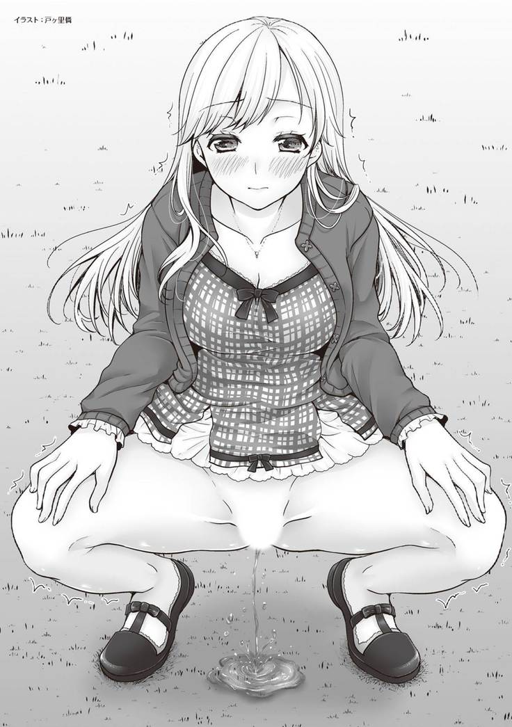 野外羞恥プレイ・露出青姦完全マニュアル イラスト版……そとプレッ！