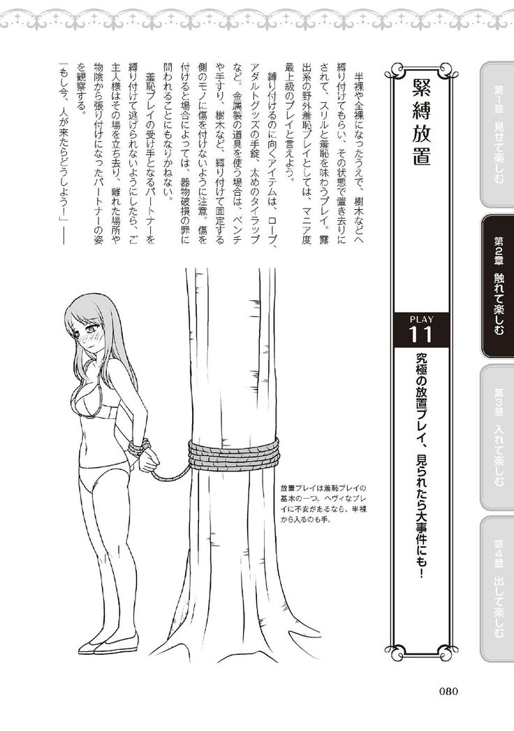 野外羞恥プレイ・露出青姦完全マニュアル イラスト版……そとプレッ！