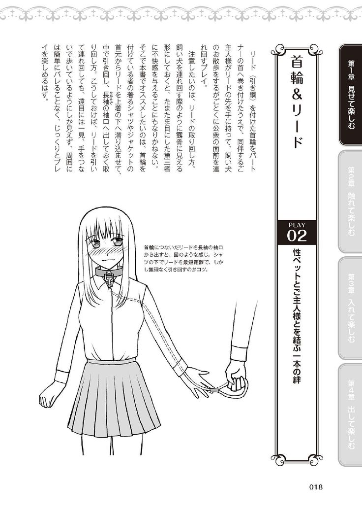 野外羞恥プレイ・露出青姦完全マニュアル イラスト版……そとプレッ！