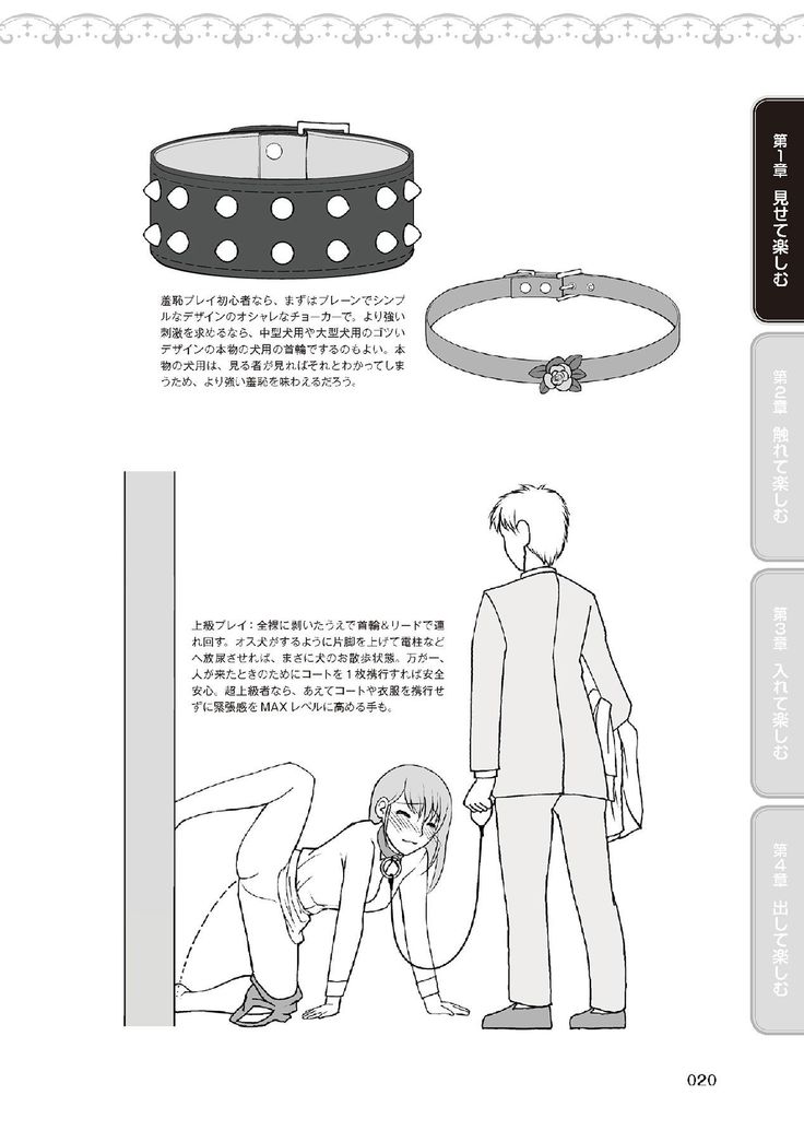 野外羞恥プレイ・露出青姦完全マニュアル イラスト版……そとプレッ！