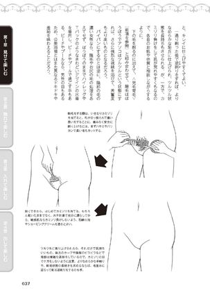 野外羞恥プレイ・露出青姦完全マニュアル イラスト版……そとプレッ！ Page #40