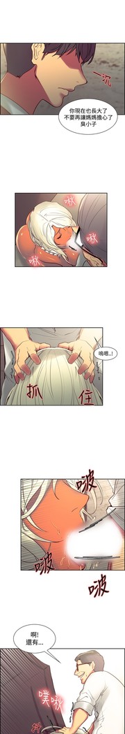 Domesticate the Housekeeper 调教家政妇 ch.29-33
