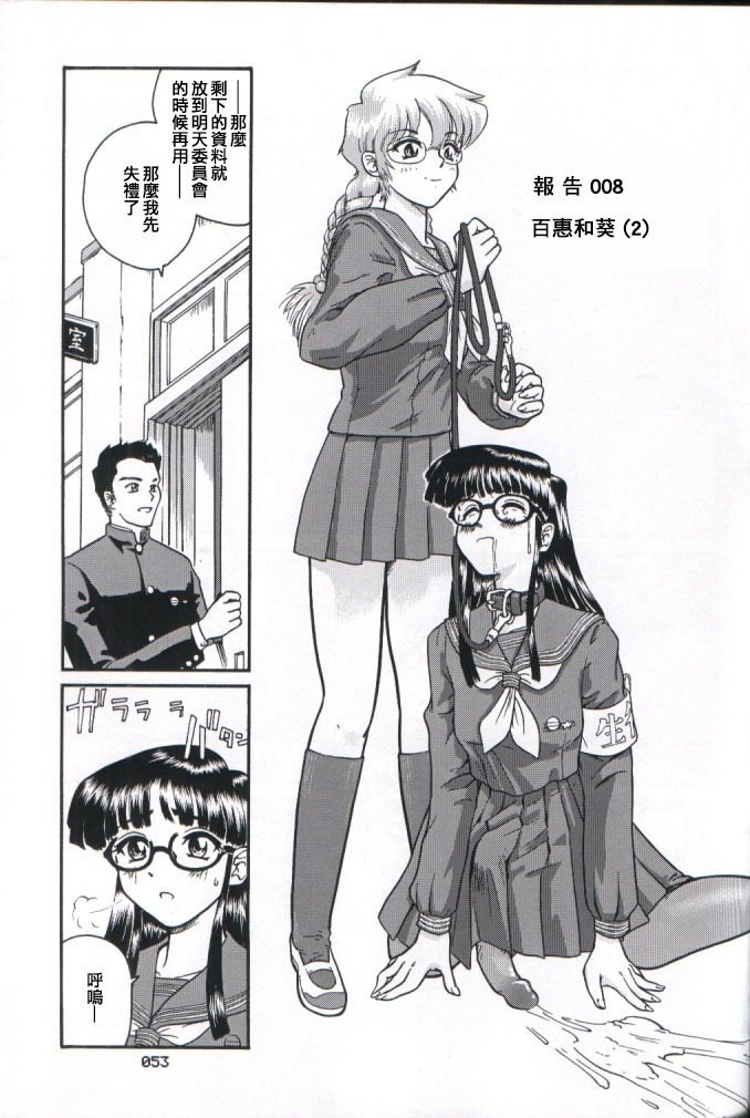 Dulce Report 2