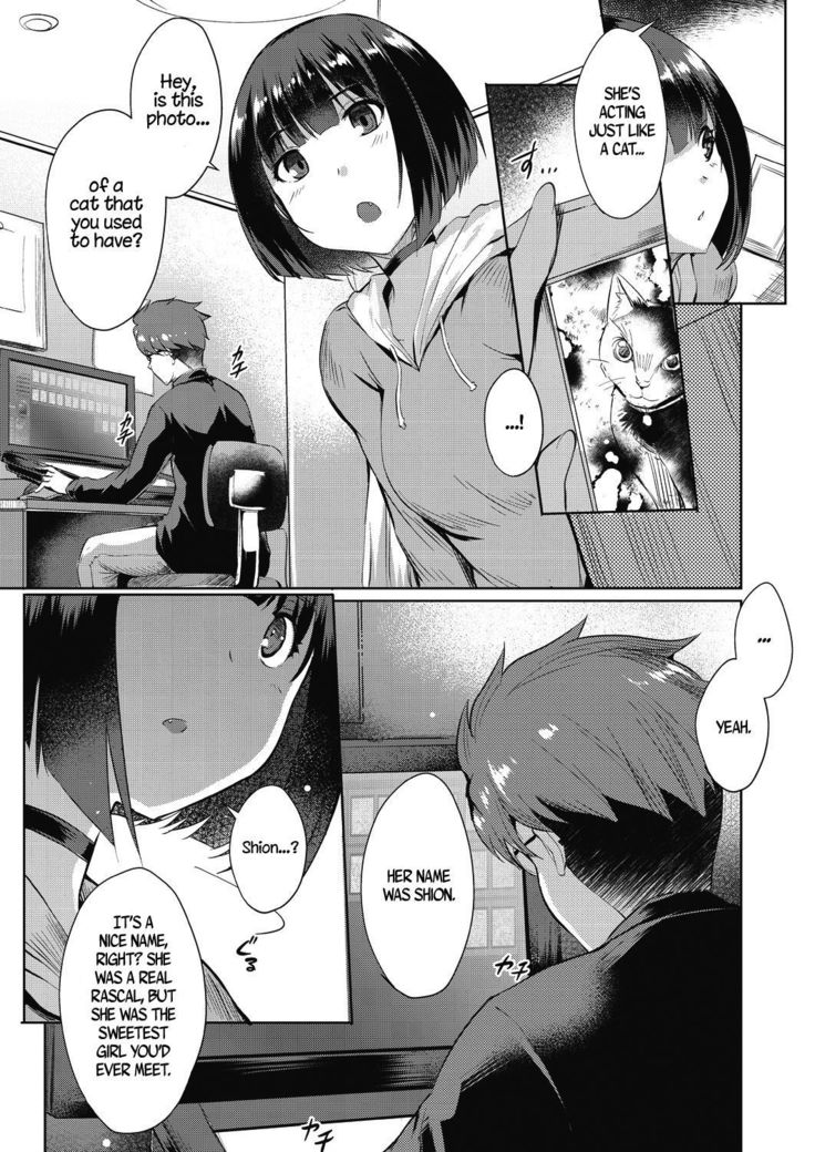 Shion no Hana | Flowers for Shion