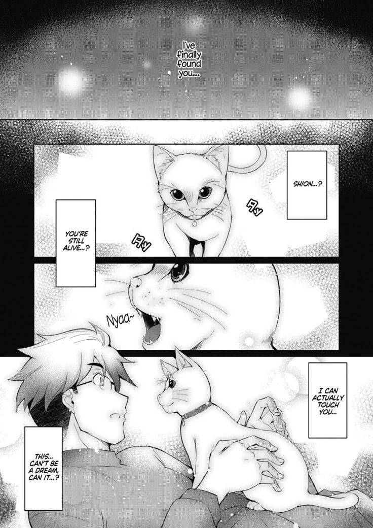 Shion no Hana | Flowers for Shion