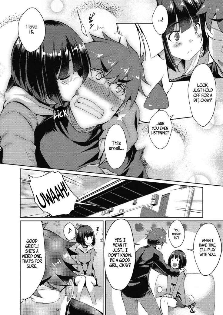 Shion no Hana | Flowers for Shion