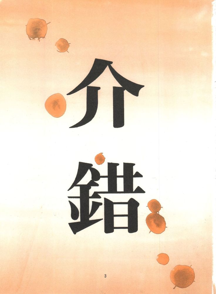 KAISHAKU 9