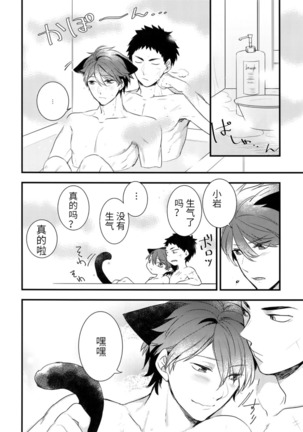 我想成为小岩的猫2 I want to become Iwa-chan's Cat! 2