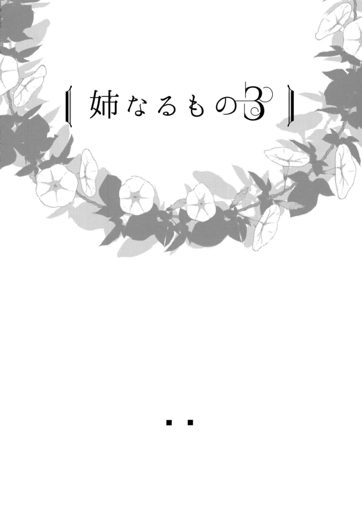 Ane Naru Mono 3 | An Elder Sister 3