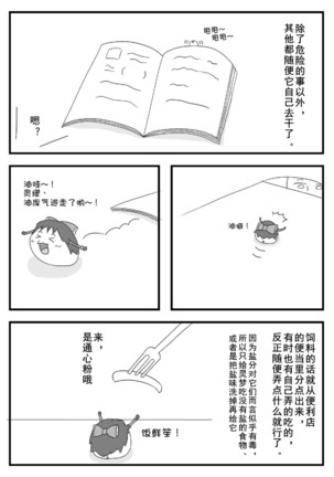 Image 5007614