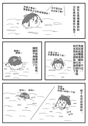 Image 5007618