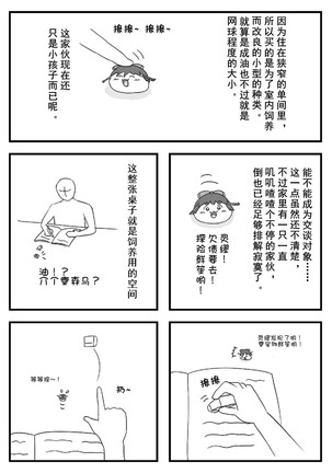Image 5007616