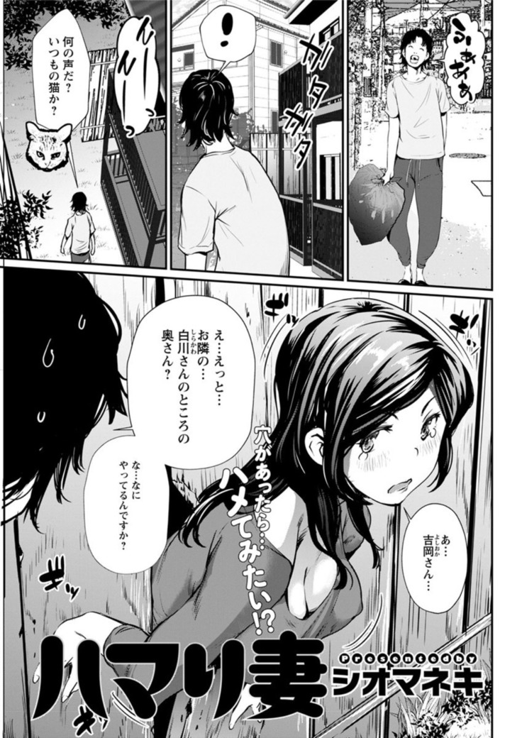Action Pizazz DX 2019-01