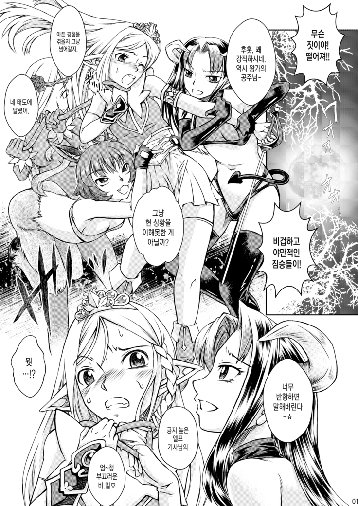 Elf no Himekishi ga Sotsugyou dekite Iru Hazu ga Nai