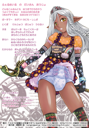 Elf no Himekishi ga Sotsugyou dekite Iru Hazu ga Nai Page #19