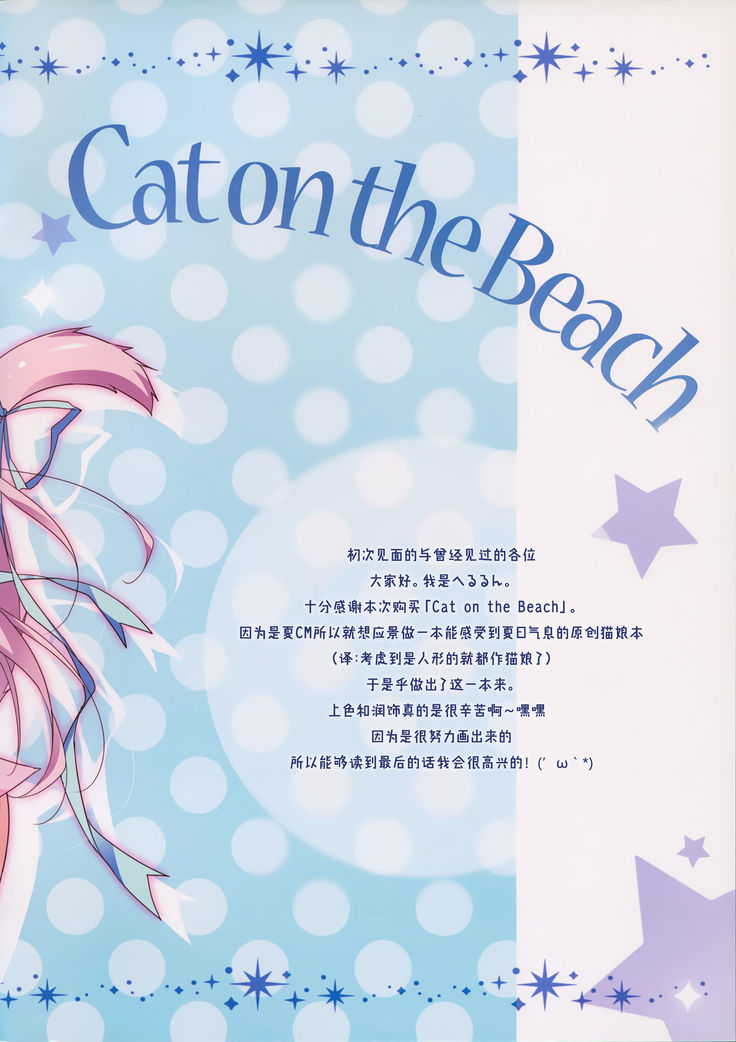 Cat on the Beach