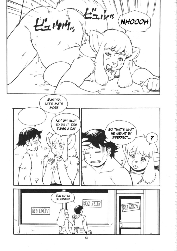 Imperfect Item 1 - 8