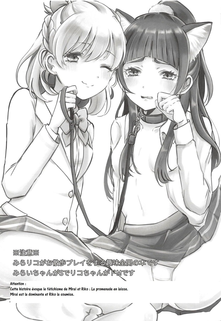 Cure Up RaPaPa de Neko ni Naare! | Riko est devenue ma chatte!