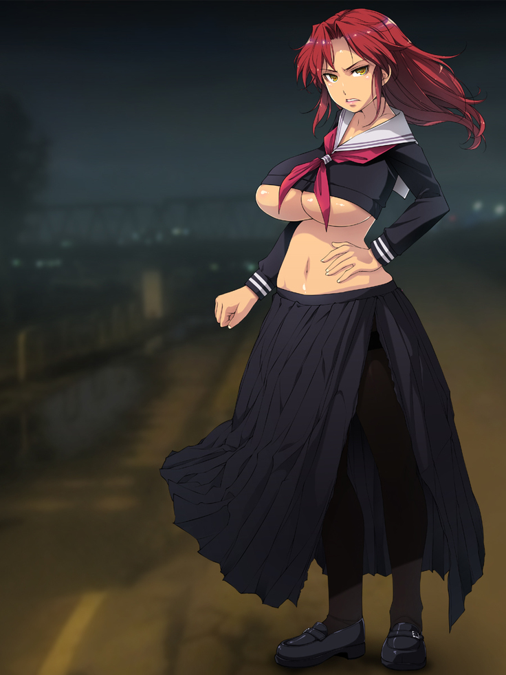 Furyou Shoujo Ga Iketeta no de