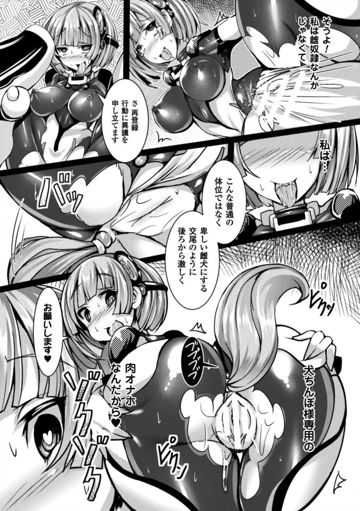 Seigi no Heroine Kangoku File Vol. 15
