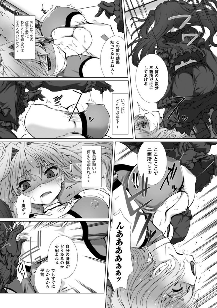 Seigi no Heroine Kangoku File Vol. 15