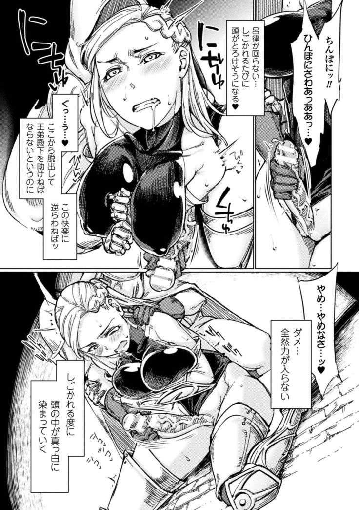 Seigi no Heroine Kangoku File Vol. 15