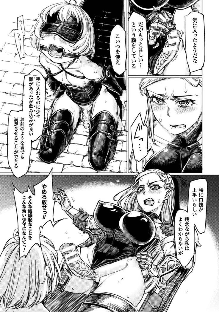 Seigi no Heroine Kangoku File Vol. 15