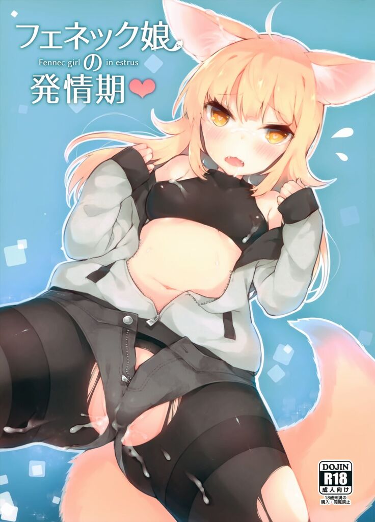 Fennec Musume no Hatsujouki