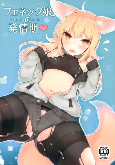 Fennec Musume no Hatsujouki