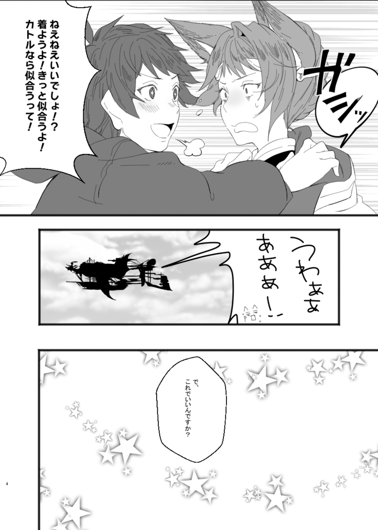 C91 Copy Hon + C93 Copy Hon