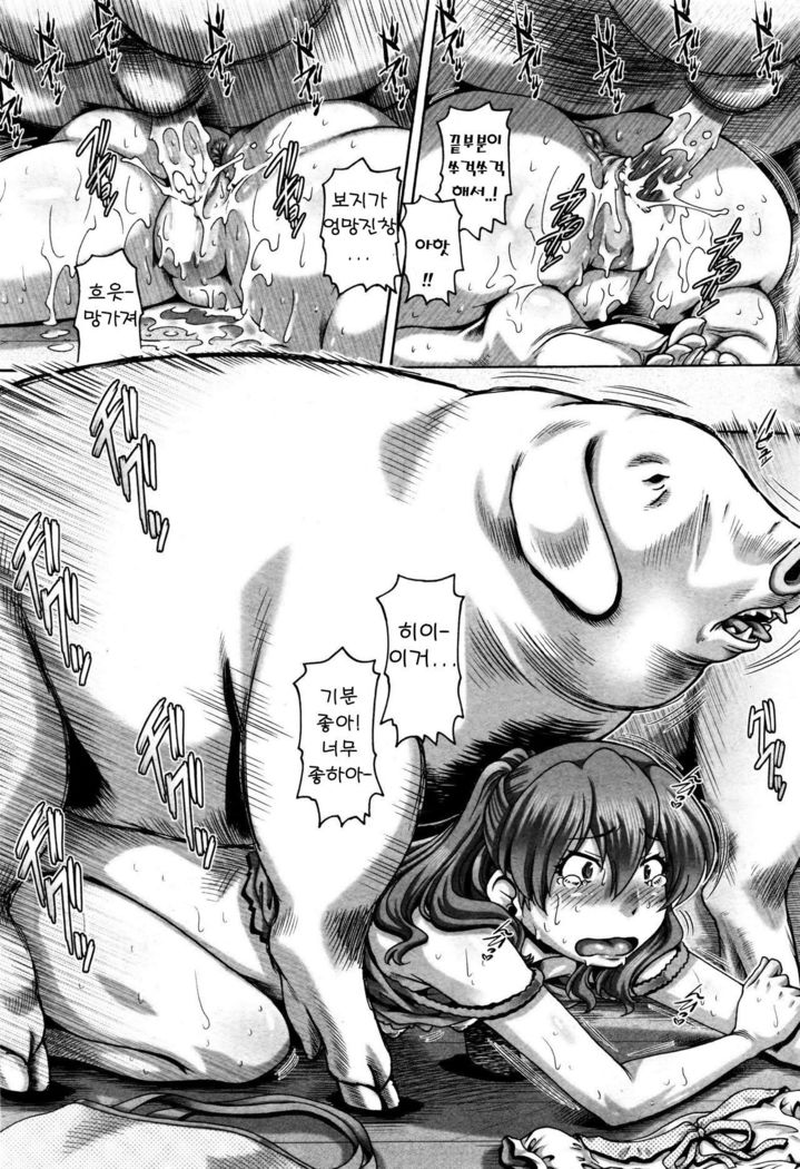 Sanbiki no Onabuta