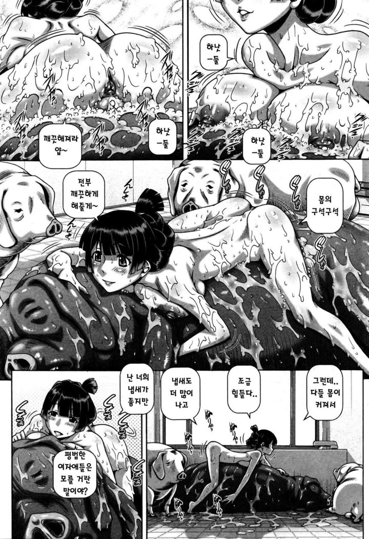 Sanbiki no Onabuta