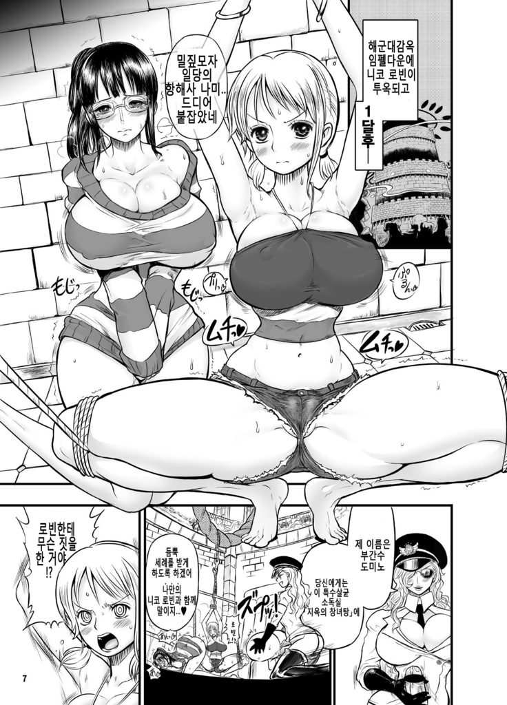 Midarezaki Joshuu Kaizoku 2 -Robin to Nami no Love Love Mitsu Shibori Hen-