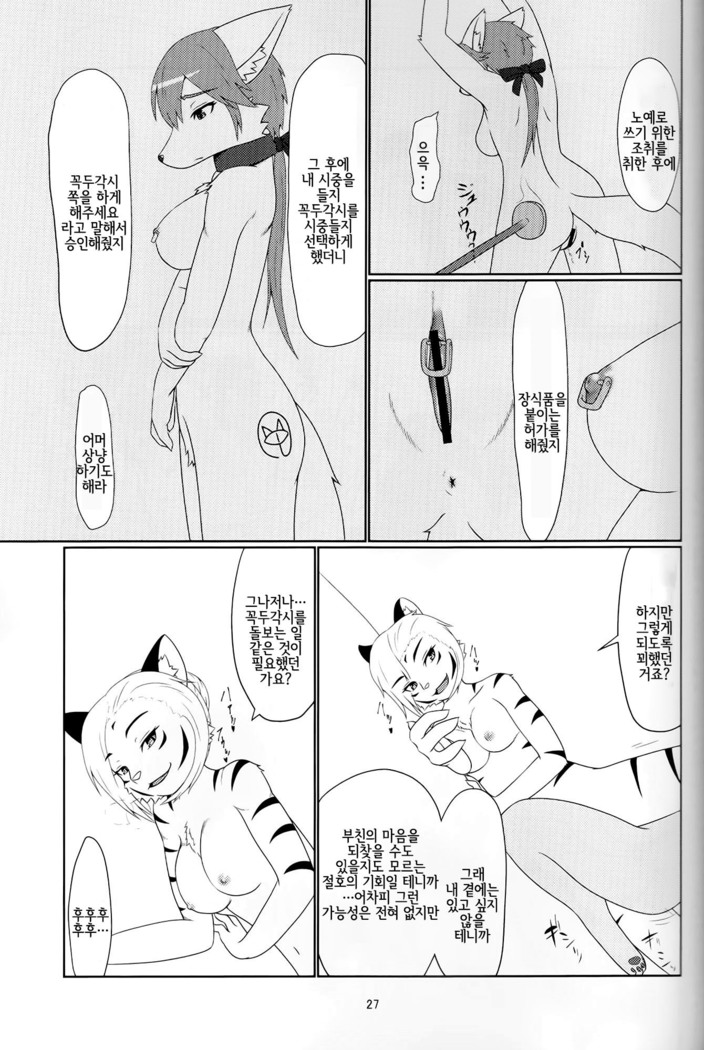 アヤツリニンギョウ