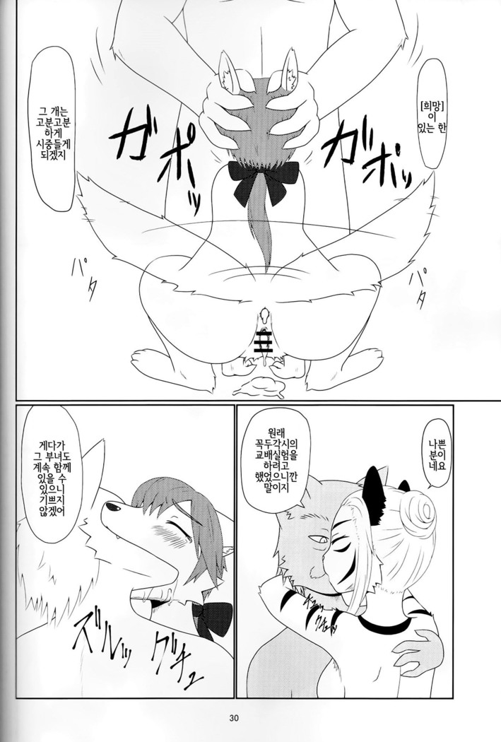 アヤツリニンギョウ